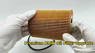 Oil Filter Element